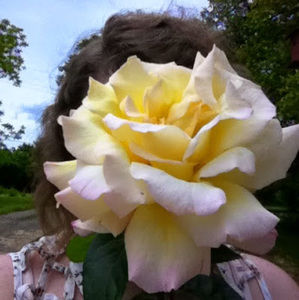 Meet your Posher, Sami